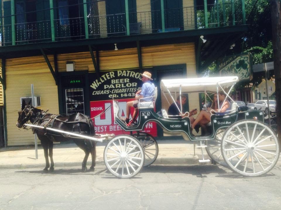 A mule-drawn carriage stopped in front of the Walter Patrolia Beer Parlor and Drink JAX sign on Marie's wall.